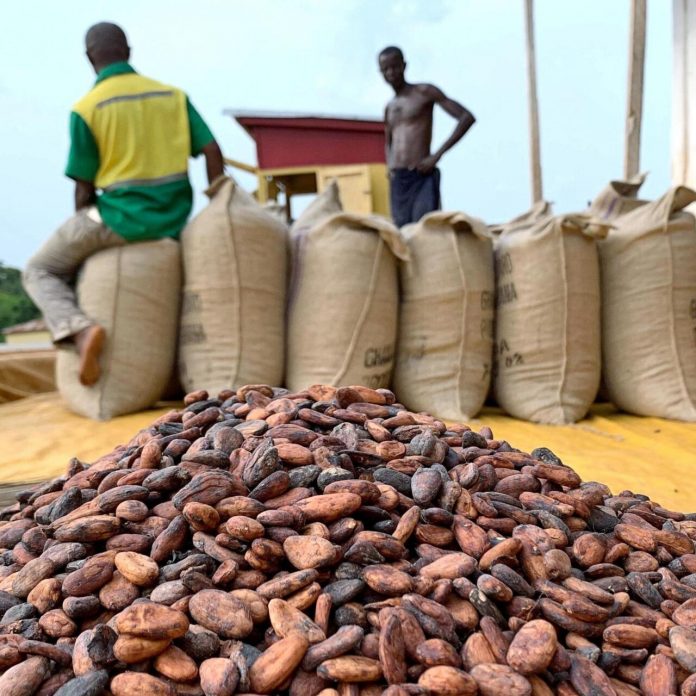 Cacao : Le prix est passé du simple au double en un an.