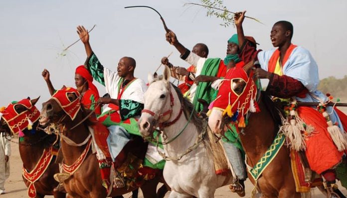 Les chevaux : Emblèmes de manifestation dans le Nord Cameroun