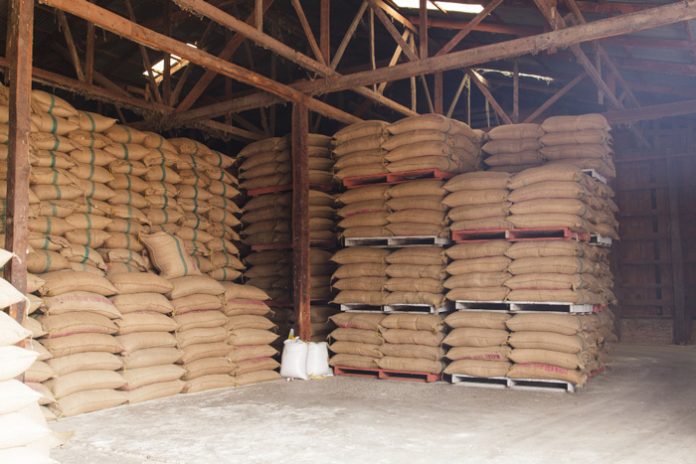 Yaoundé-Bangui : Le blé de la discorde