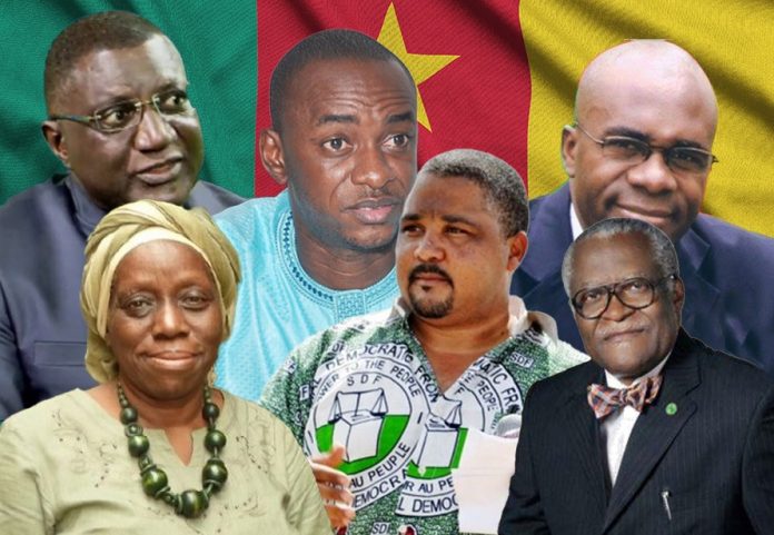 Plateforme de l’opposition: les visages des adhérents de l’Alliance pour une transition politique pacifique au Cameroun.
