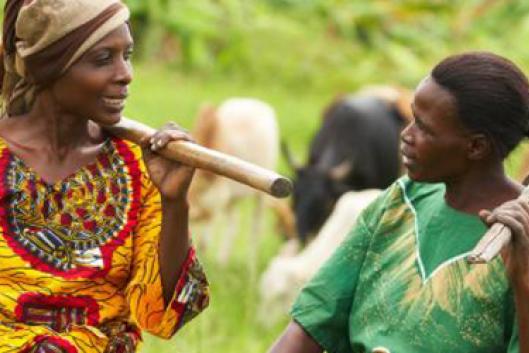 Droits de la femme : les femmes du Noun initiées à leurs prérogatives.