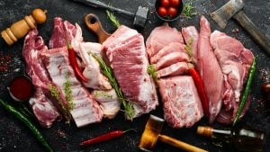 Umiami ouvre son usine de fabrication de substituts de viande