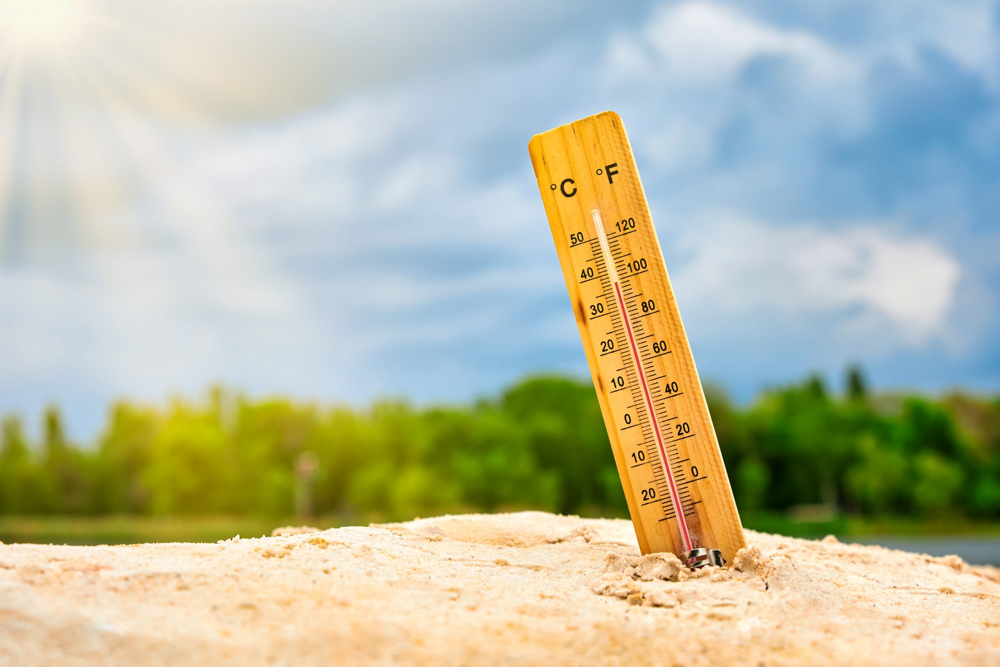 La planète "au bord du gouffre" après une décennie record de chaleur, alerte l'ONU