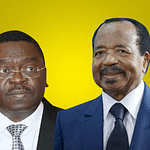 Présidentielle 2025 au Cameroun: Le Rdpc cible les électeurs