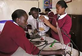 Valorisation des talents : Bafoussam abrite le concours semences génies