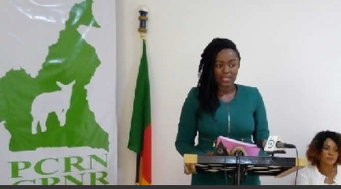 Présidentielle 2025 : le Rdpc taxé d’être à la manœuvre de la dissension dans le PRCN