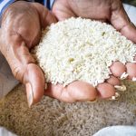 Les prix du riz en baisse au Cameroun