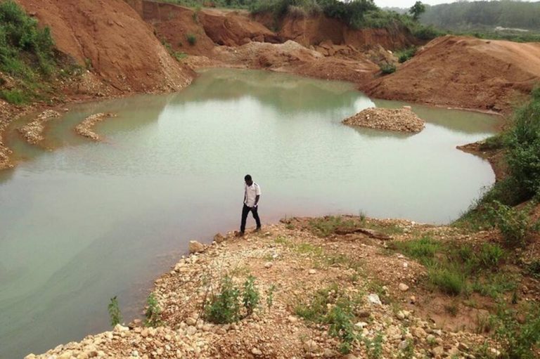 Les mines d'or au Niger : une menace pour la faune locale
