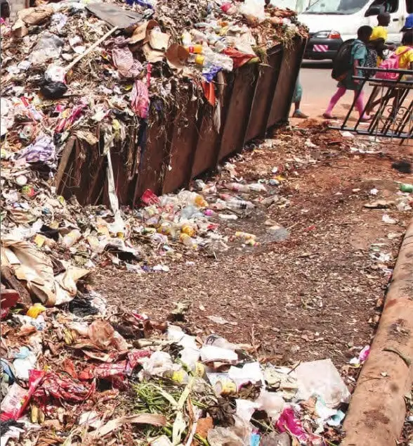 Salubrité urbaine: Des ordures à Douala, Hysacam dépassée