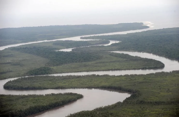 Bundu : Protéger la biodiversité des mangroves du Nigeria