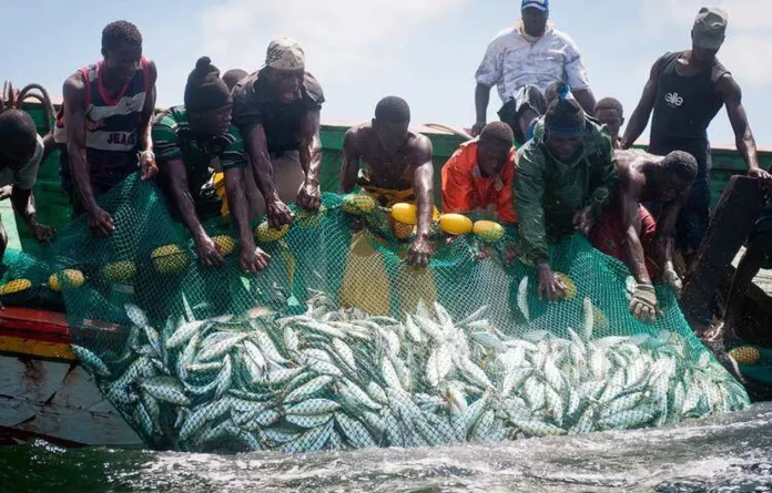 La Côte d’Ivoire impose des périodes de fermeture de pêche