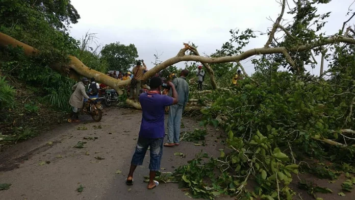 Braderie foncière : Les populations de Bomono en colère
