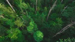 Réduire les rejets de CO2