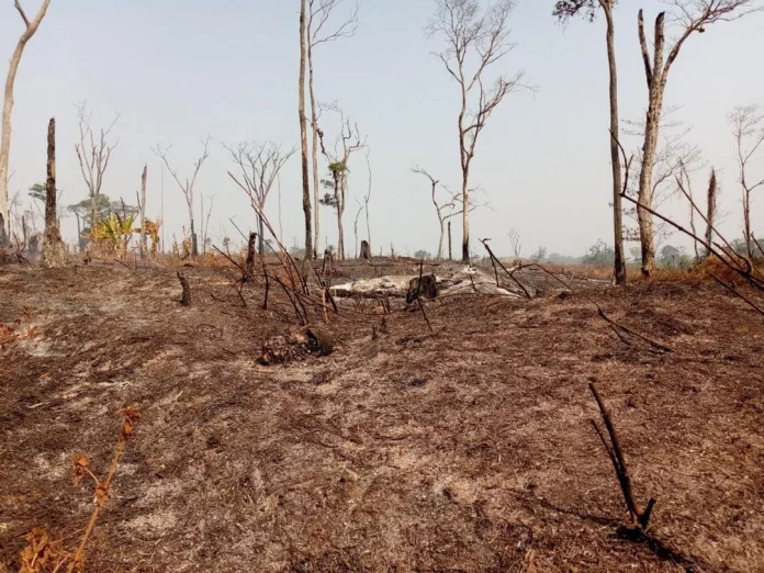 Carnet de route Bafoussam/Ngambè-Tikar : comme un traquenard qui angoisse les voyageurs…