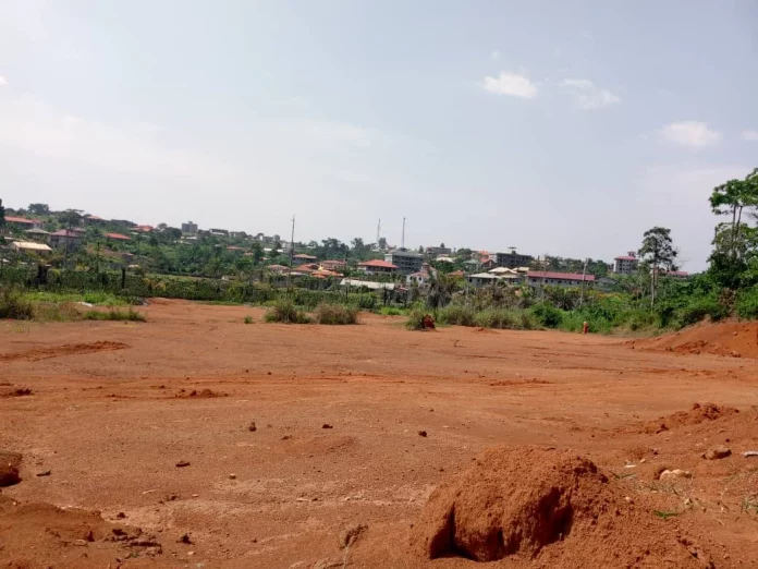 Dépossédée de ses terres par l’Etat, la British American Tobacco attaque en justice