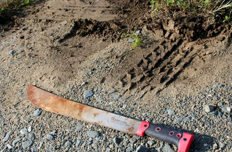 femme frappée à coups de machette