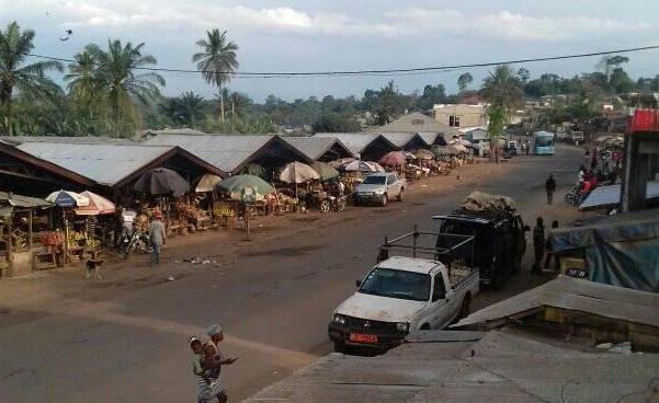 Une fille tue son père dans leur domicile à Makénéne