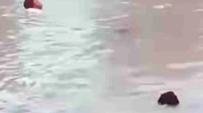 Deux adolescents décèdent par noyade à Douala