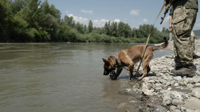 Dans l’ouest de l’Ukraine, des contrebandiers devenus passeurs pour déserteurs