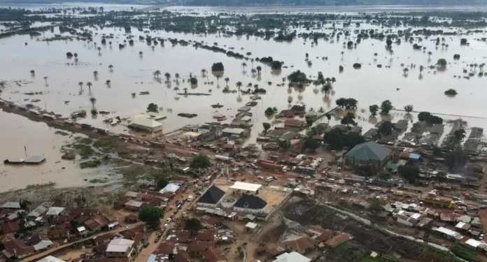 Au moins 52 passagers perdent la vie noyés au Niger