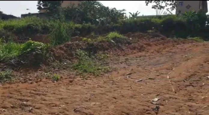 Mafia foncière : quand les frasques du Mindcaf font condamner l’Etat du Cameroun