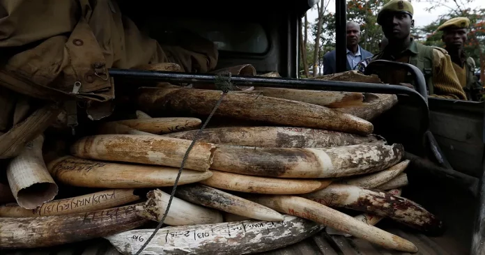 Tpi d’Ebolowa: Deux ingénieurs à la barre