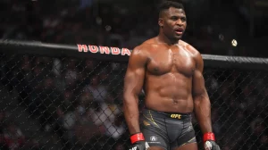 Retour aux arts martiaux mixtes : la motivation de Francis Ngannou