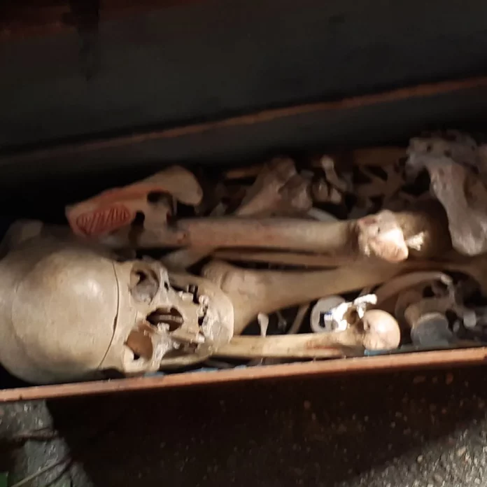 Deux trafiquants d’ossements humains arrêté à Makari