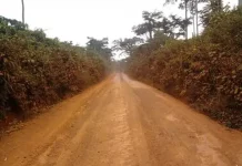 Tronçon routier ÉBolowa Akom 2 Kribi : État des lieux et attentes
