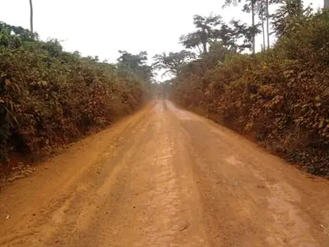 Bitumage du tronçon routier ÉBolowa Akom 2 Kribi, L’élite locale avise le Pm