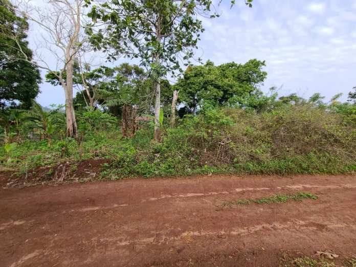 Bwadibo : le chef accusé de braderie foncière