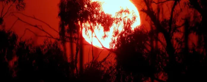 L'été 2024 : Le Plus Chaud Jamais Mesuré sur la Planète