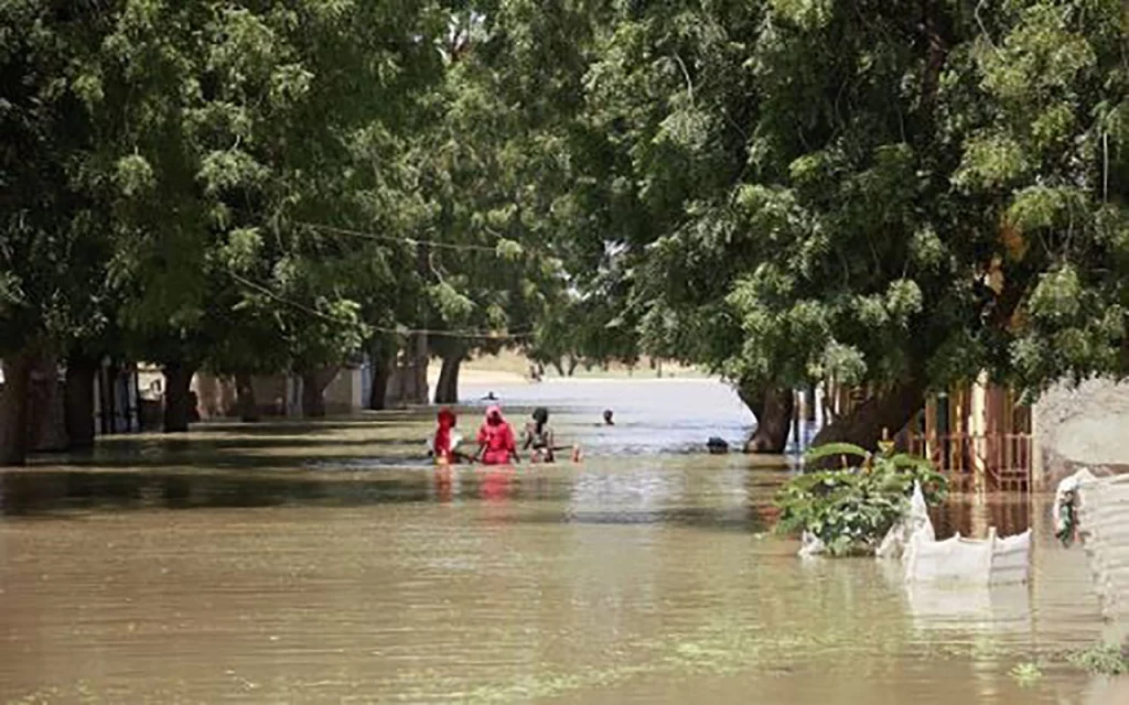 Catastrophe dans l'Extrême Nord