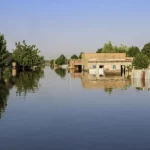 341 morts et 1,5 million de sinistrés suite aux inondations au Tchad