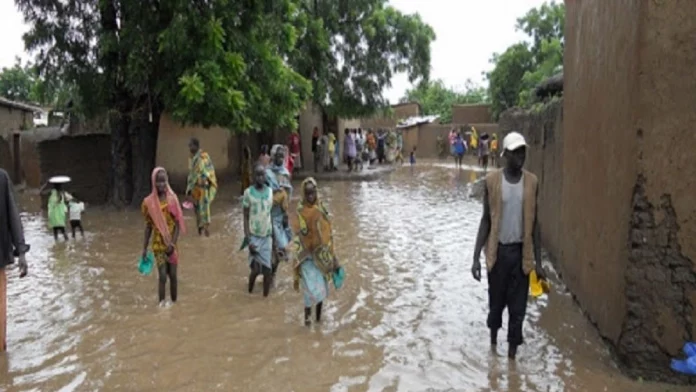 Inondations dans l’Extrême-Nord : le gouvernement évalue les dégâts