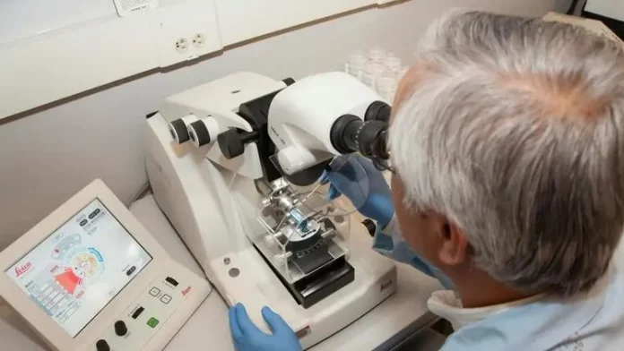 Afrique du Sud: décodage d’ADN vieux de 10.000 ans, une première