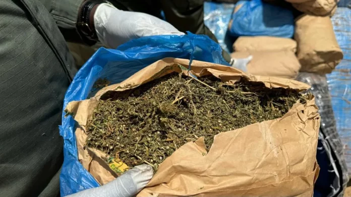 Maroua : Deux individus appréhendés avec 30 sacs de cannabis