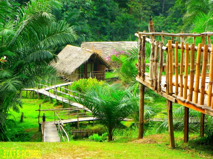 Les hébergements insolites du Cameroun : une expérience unique