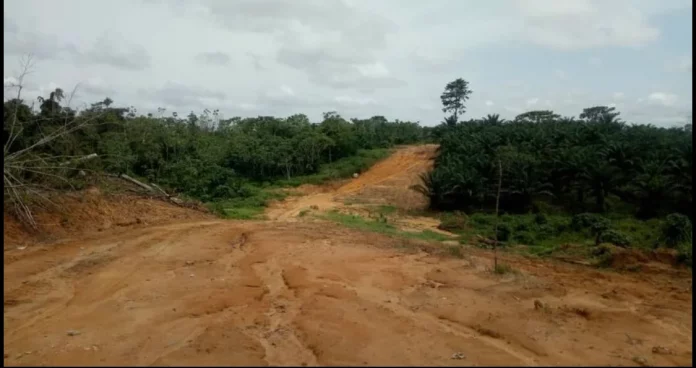 Lendi et Ngombe : les populations victimes des déguerpissements en masse