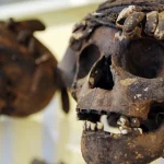 Trafic d'ossements humain