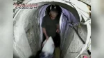 Vidéo de Sinouar : Les Derniers Moments avant l'Attaque de Gaza