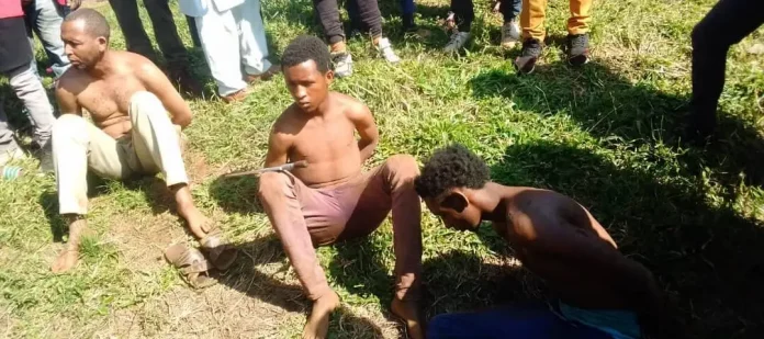 Un gang de quatre braqueurs arrêtés à Mbalmayo