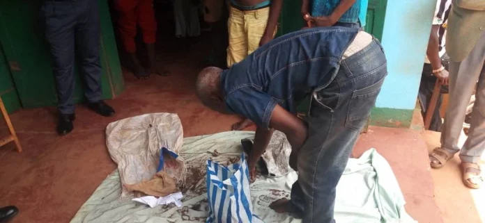 Nord : la gendarmerie nationale capture un réseau de trafiquants d’ossements humains