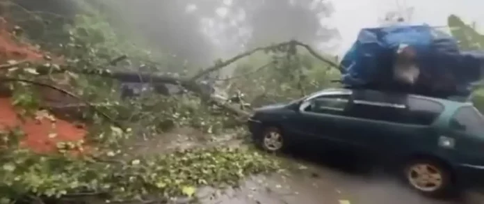 Encore des décès enregistrés sur la route de l’Ouest suite à un accident de la circulation