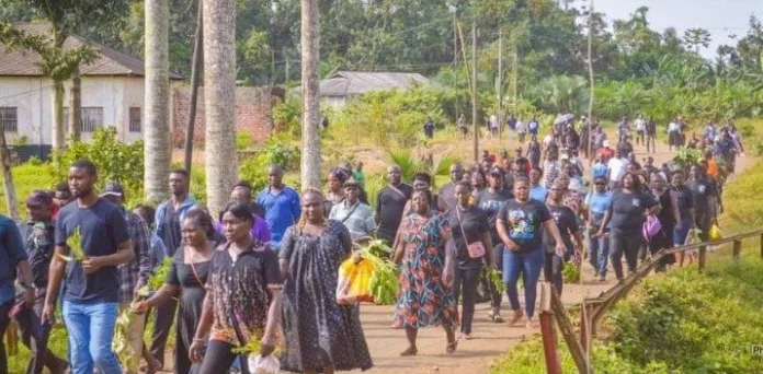 Grève des travailleurs de la CDC: l’Etat face à ses responsabilités