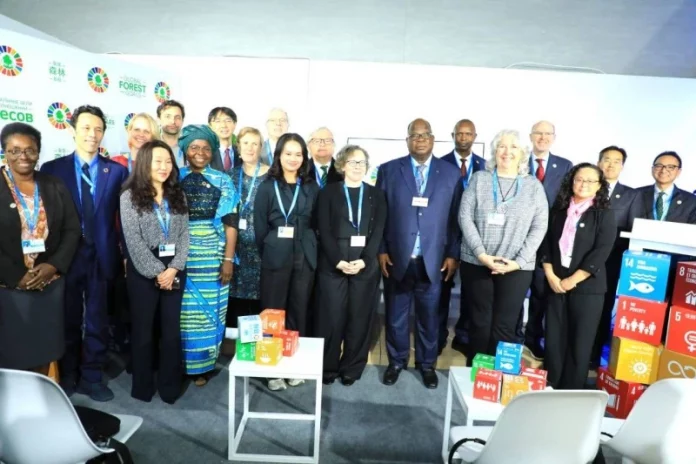 La Côte d’Ivoire va créer un fonds de financement vert de 500 millions de dollars (FMI)