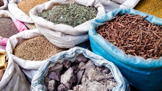 Médecine traditionnelle : l’Ordre national des tradipraticiens en perspective