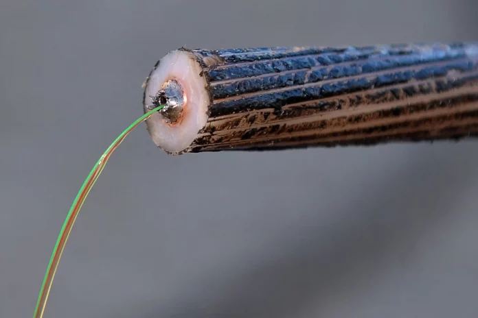 Câbles sous-marins: des infrastructures hautement stratégiques