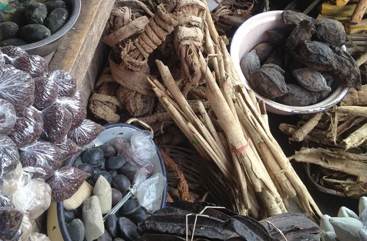 Médicine traditionnelle