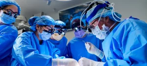Rein de porc : Une avancée médicale révolutionnaire